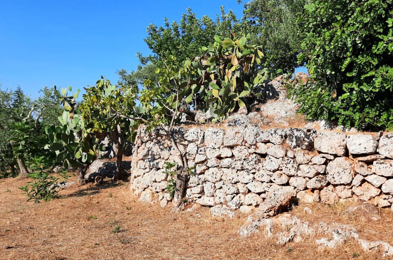I Due Carrubi Villa Ostuni Exterior photo